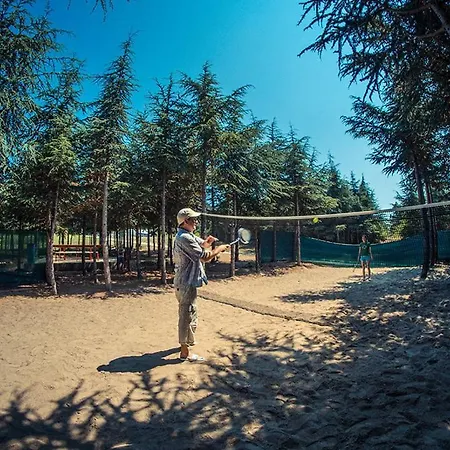 Paradise View * סאני ביץ'