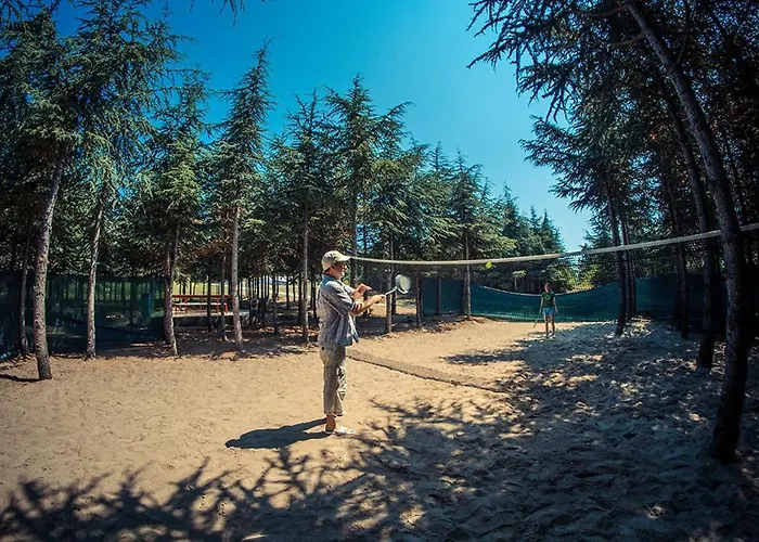 Paradise View * 써니비치